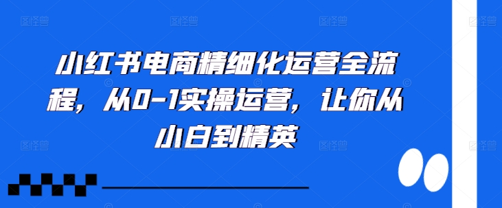 小红书电商精细化运营全流程，从0-1实操运营，让你从小白到精英-木石资源网