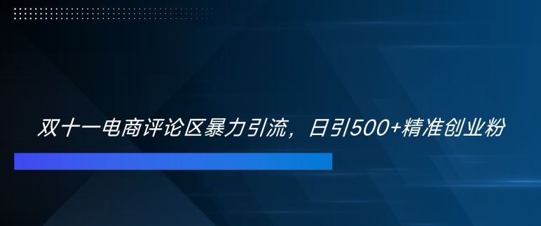 双十一电商评论区暴力引流，日引500+精准创业粉【揭秘】-木石资源网