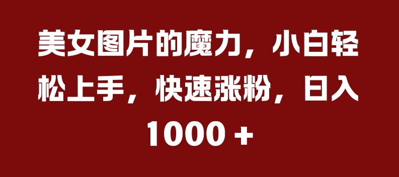 美女图片的魔力，小白轻松上手，快速涨粉，日入几张【揭秘】-木石资源网