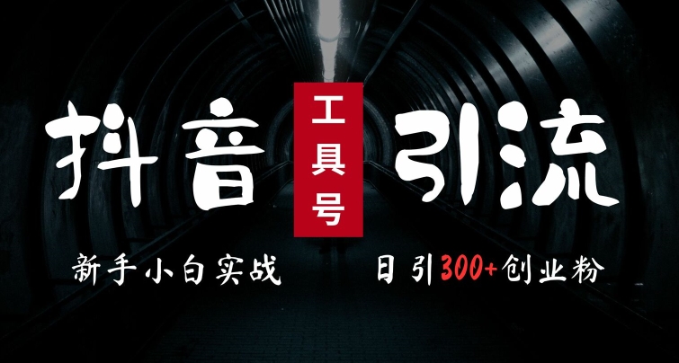 2024最新抖音工具号引流玩法，高效日引300+创业粉，当天变现5k，小白也可成为实战高手-木石资源网
