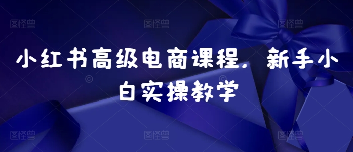 小红书高级电商课程，新手小白实操教学-木石资源网