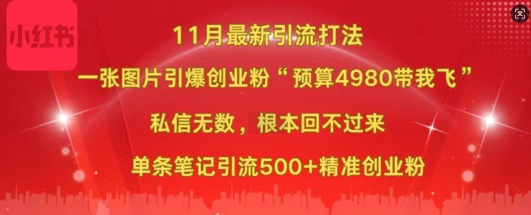 小红书11月最新图片打粉，一张图片引爆创业粉，“预算4980带我飞”，单条引流500+精准创业粉-木石资源网