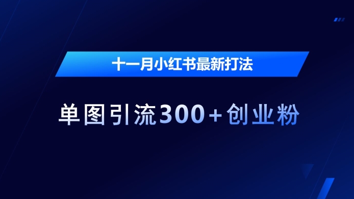 十一月小红书最新打法，单图引流300+创业粉【揭秘】-木石资源网