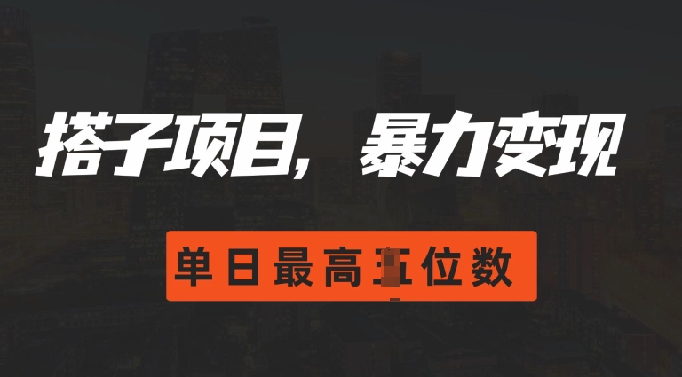 2024搭子玩法，0门槛，暴力变现，单日最高破四位数【揭秘】-木石资源网