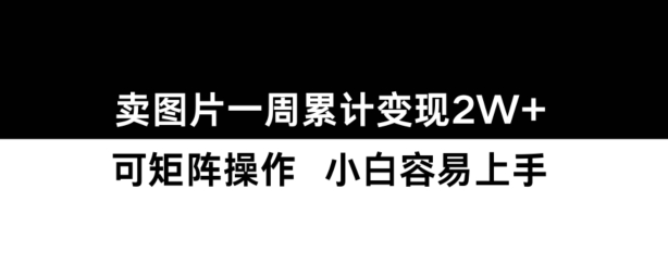 小红书【卖图片】一周累计变现2W+小白易上手-木石资源网