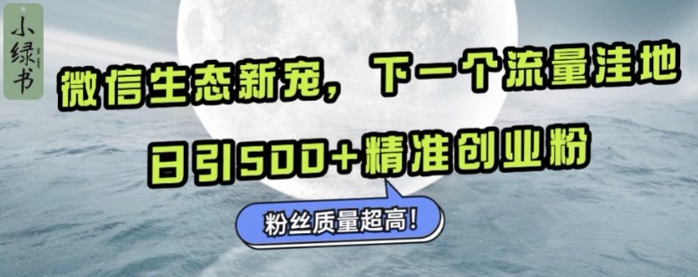 微信生态新宠小绿书：下一个流量洼地，日引500+精准创业粉，粉丝质量超高-木石资源网
