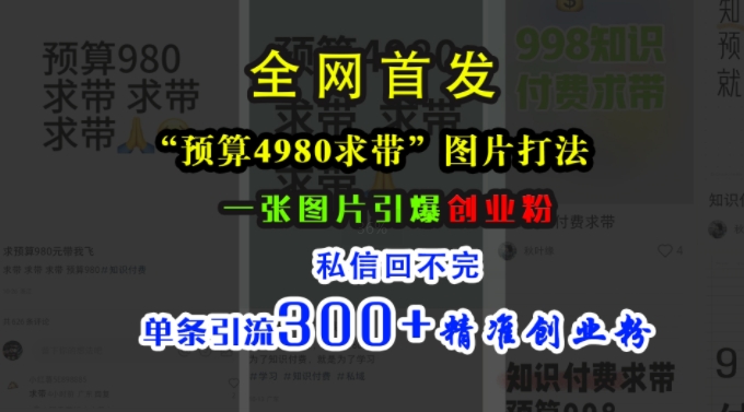 小红书“预算4980带我飞”图片打法，一张图片引爆创业粉，私信回不完，单条引流300+精准创业粉-木石资源网