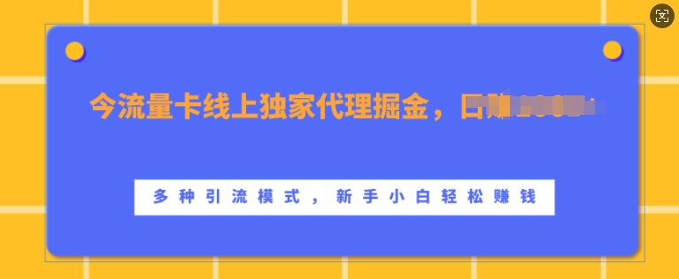 流量卡线上独家代理掘金，日入1k+ ，多种引流模式，新手小白轻松上手【揭秘】-木石资源网