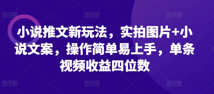 小说推文新玩法，实拍图片+小说文案，操作简单易上手，单条视频收益四位数-木石资源网