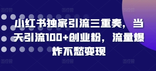 小红书独家引流三重奏，当天引流100+创业粉，流量爆炸不愁变现【揭秘】-木石资源网