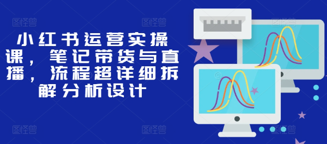 小红书运营实操课，笔记带货与直播，流程超详细拆解分析设计-木石资源网