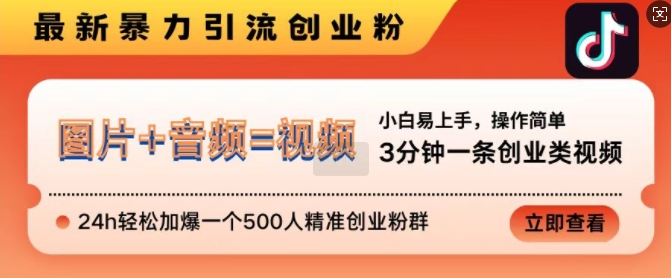 抖音最新暴力引流创业粉，3分钟一条创业类视频，24h轻松加爆一个500人精准创业粉群【揭秘】-木石资源网