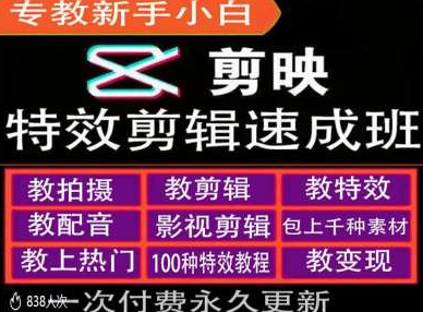 剪映特效教程和运营变现教程，特效剪辑速成班，专教新手小白-木石资源网
