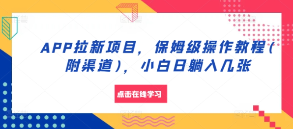 APP拉新项目，保姆级操作教程(附渠道)，小白日躺入几张【揭秘】-木石资源网