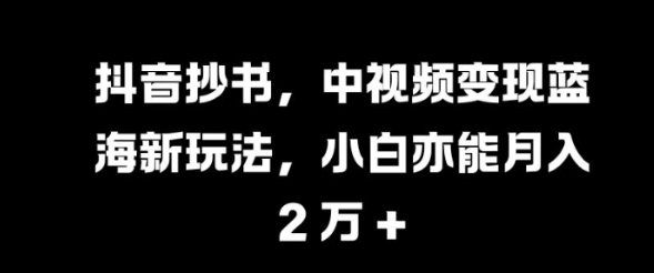 抖音抄书，中视频变现蓝海新玩法，小白亦能月入 过W【揭秘】-木石资源网