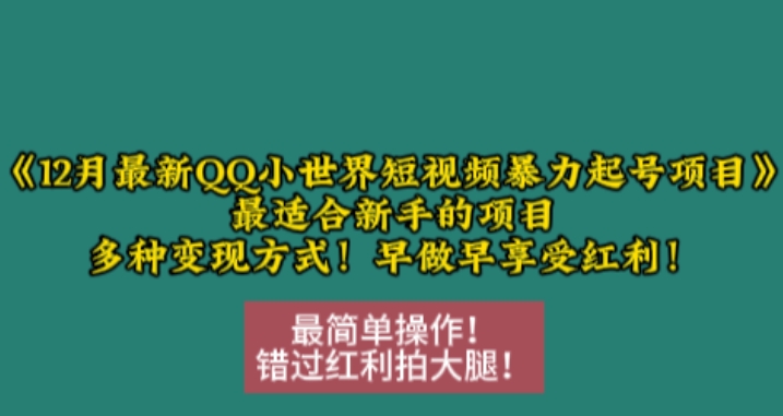 12月最新QQ小世界短视频暴力起号项目，最适合新手的项目，多种变现方式-木石资源网
