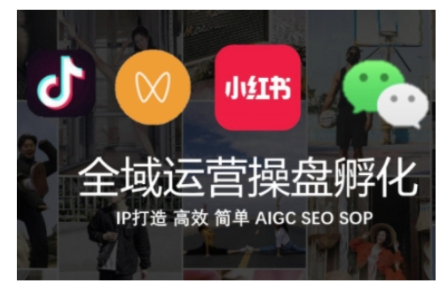全域运营操盘(抖音+私域+小红书)，IP打造高效简单-木石资源网