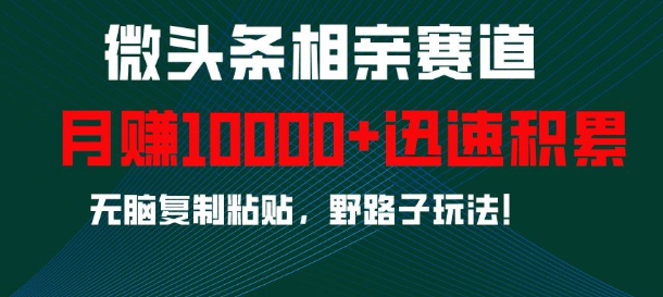 微头条相亲赛道，迅速积累，无脑复制粘贴，野路子玩法，月入1w-木石资源网