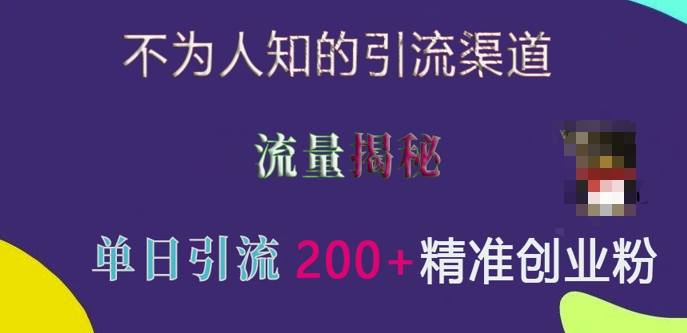 不为人知的引流渠道，流量揭秘，实测单日引流200+精准创业粉【揭秘】-木石资源网