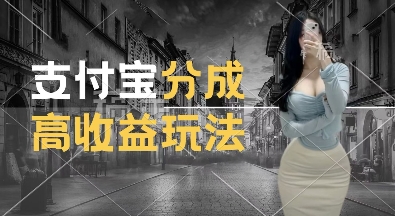 支付宝分成计划新玩法，利用交通事故视频，赚收益，轻松月入过W，操作简单【揭秘】-木石资源网