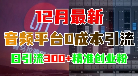 12月最新：音频平台0成本引流，日引流300+精准创业粉-木石资源网