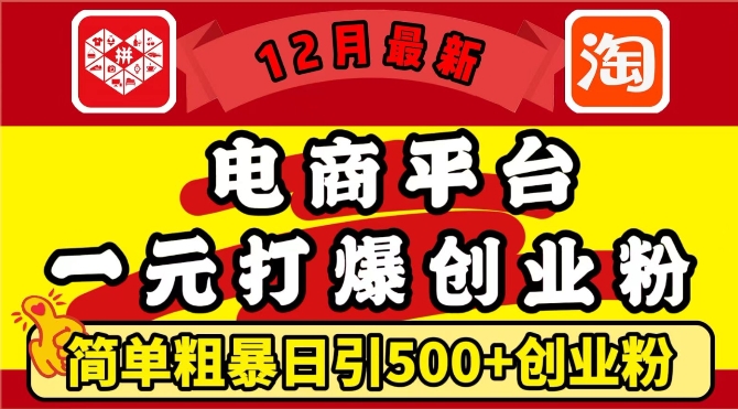 12月最新：电商平台1元打爆创业粉，简单粗暴日引500+精准创业粉，轻松月入过W【揭秘】-木石资源网