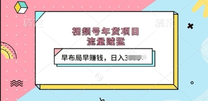 视频号年货项目，流量贼猛，早布局早挣钱，日入上k【揭秘】-木石资源网