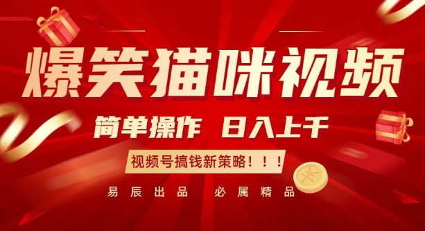 爆笑猫咪视频：简单操作，日入过K，视频号搞钱新策略【揭秘】-木石资源网
