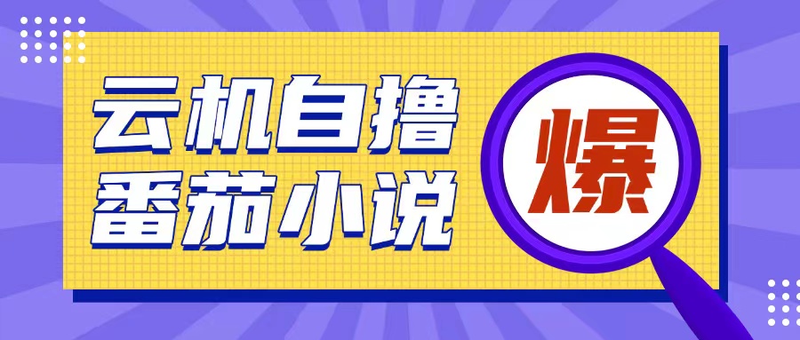 首发云手机自撸小说玩法，10块钱成本可撸200+收益操作简单【揭秘】-木石资源网