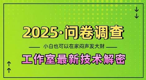 2025问卷调查最新工作室技术解密：一个人在家也可以闷声发大财，小白一天2张，可矩阵放大【揭秘】-木石资源网