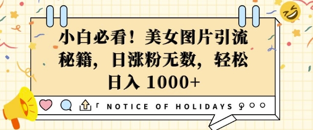 小白必看，美女图片引流秘籍，日涨粉无数，轻松日入几张【揭秘】-木石资源网