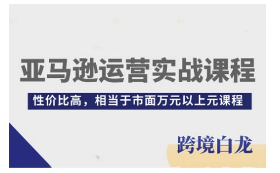亚马逊运营实战课程，亚马逊从入门到精通，性价比高，相当于市面万元以上元课程-木石资源网