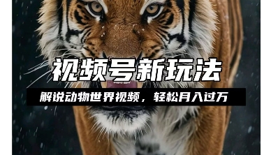 利用动物世界解说视频，赚分成计划收益，轻松月入过W，操作简单【揭秘】-木石资源网