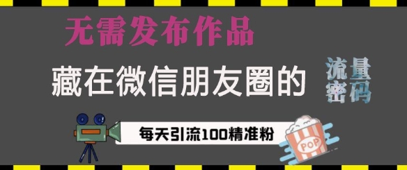 藏在微信朋友圈的流量密码，无需发布作品，单日引流100+精准创业粉【揭秘】-木石资源网