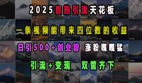 2025自热引流天花板，一条视频能带来四位数的收益，引流+变现双管齐下，日引500+创业粉，涨粉嘎嘎猛-木石资源网