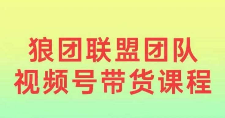 狼团联盟2024视频号带货，0基础小白快速入局视频号-木石资源网