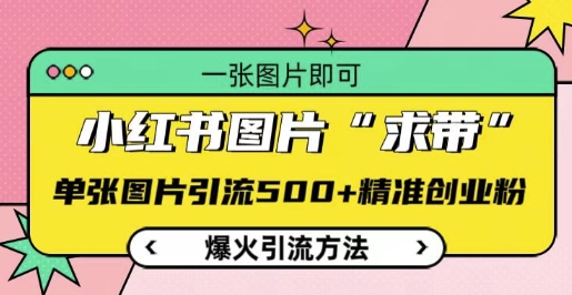 小红书图片‘求带’爆火引流法，单张图片引流500+精准创业粉【揭秘】-木石资源网
