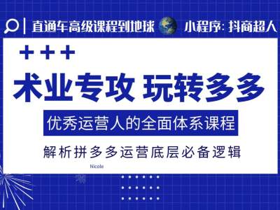 术业专攻玩转多多，优秀运营人的全面体系课程，解析拼多多运营底层必备逻辑-木石资源网