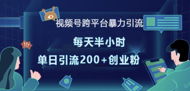 视频号跨平台暴力引流，每天半小时，单日引流200+精准创业粉-木石资源网