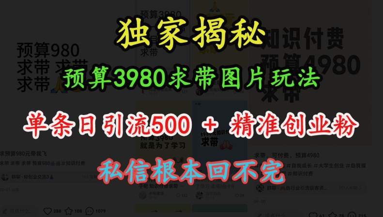 预算3980求带 图片玩法，单条日引流500+精准创业粉，私信根本回不完-木石资源网