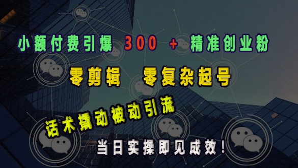 小额付费引爆 300 + 精准创业粉，零剪辑、零复杂起号，话术撬动被动引流，当日实操即见成效-木石资源网