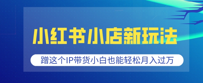 小红书小店新玩法，蹭这个IP带货，小白也能轻松月入过W【揭秘】-木石资源网
