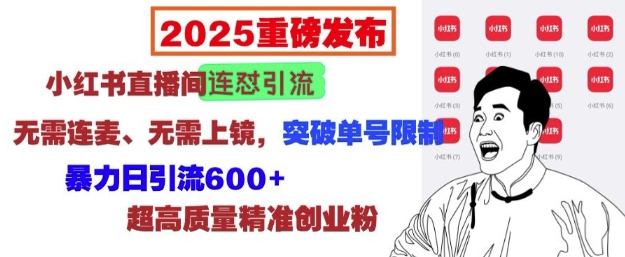 2025重磅发布：小红书直播间连怼引流，无需连麦、无需上镜，突破单号限制，暴力日引流600+-木石资源网