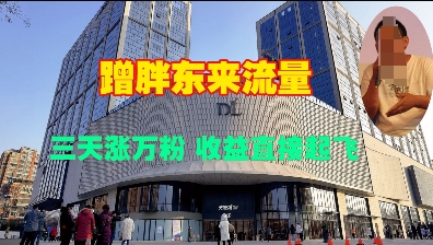 蹭胖东来流量，三天涨万粉，收益直接起飞-木石资源网
