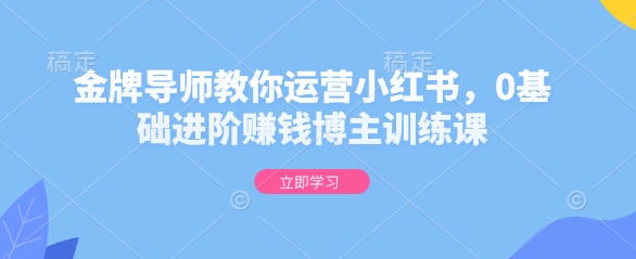 金牌导师教你运营小红书，0基础进阶赚钱博主训练课-木石资源网