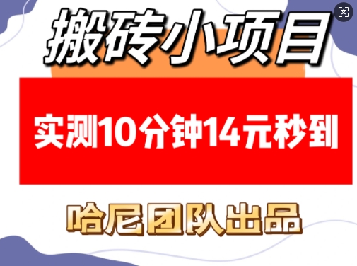 搬砖小项目，实测10分钟14元秒到，每天稳定几张(赠送必看稳定)-木石资源网