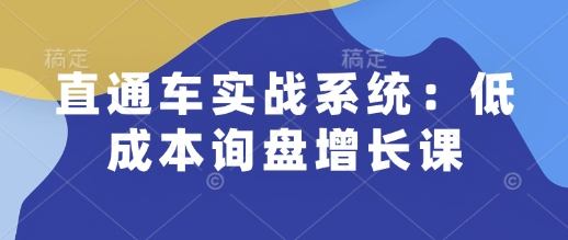 直通车实战系统：低成本询盘增长课，让个人通过技能实现升职加薪，让企业低成本获客，订单源源不断-木石资源网