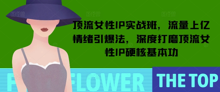 顶流女性IP实战班，流量上亿情绪引爆法，深度打磨顶流女性IP硬核基本功-木石资源网