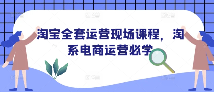 淘宝全套运营现场课程，淘系电商运营必学-木石资源网