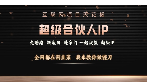互联网项目天花板，超级合伙人IP，全网都在割韭菜，我来教你做镰刀【仅揭秘】-木石资源网